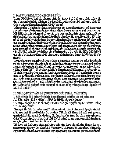 Sáng kiến kinh nghiệm Một số giải pháp tổ chức hiệu quả các hoạt động trải nghiệm tại lớp cho trẻ MGB 3- 4 tuổi